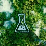 Successful Results and Conclusions: Grupo Acideka’s Sustainable Chemistry Impact
